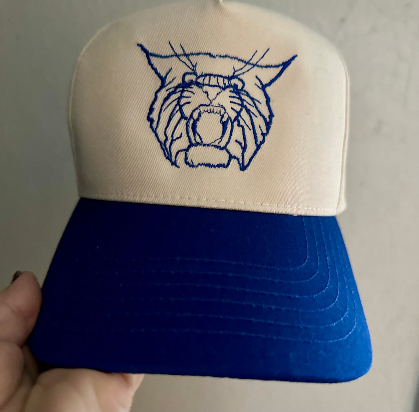 Kentucky Wildcat hat