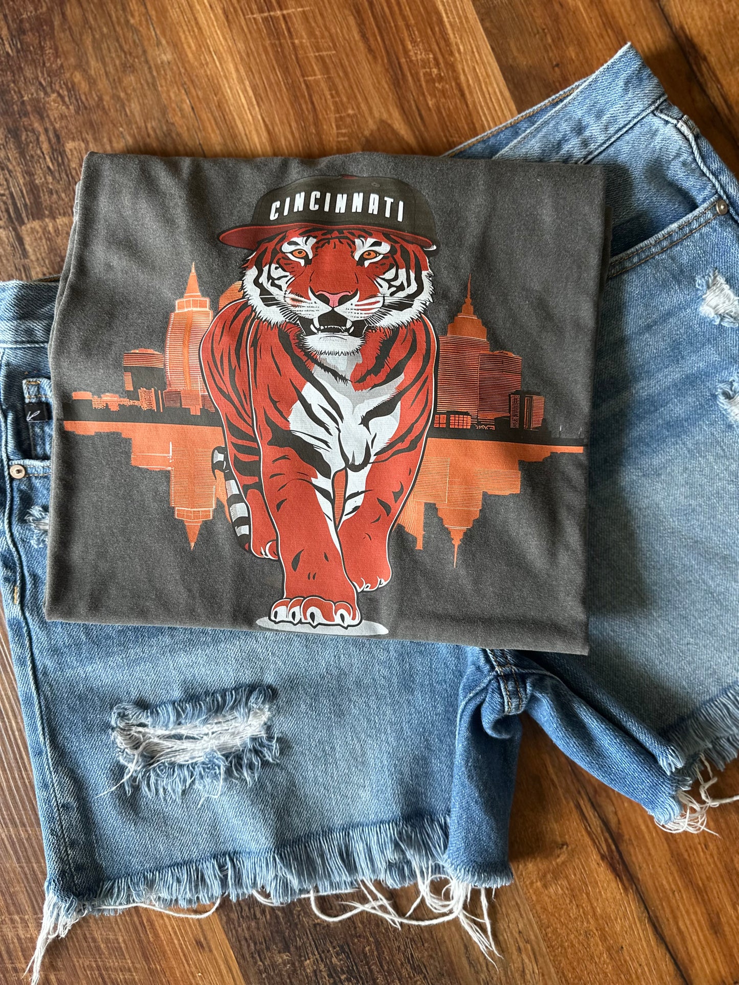 Cincinnati Bengal skyline