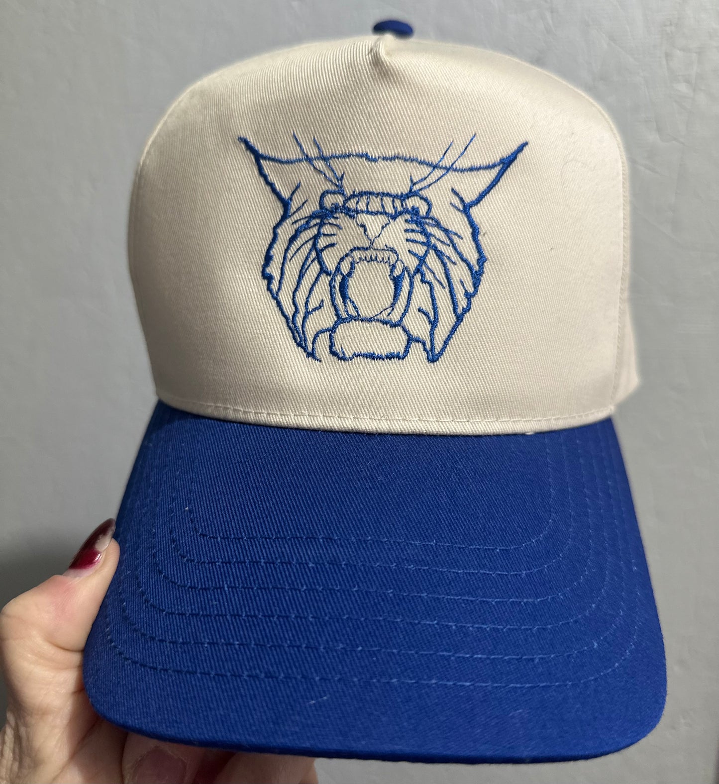 Kentucky Wildcat hat